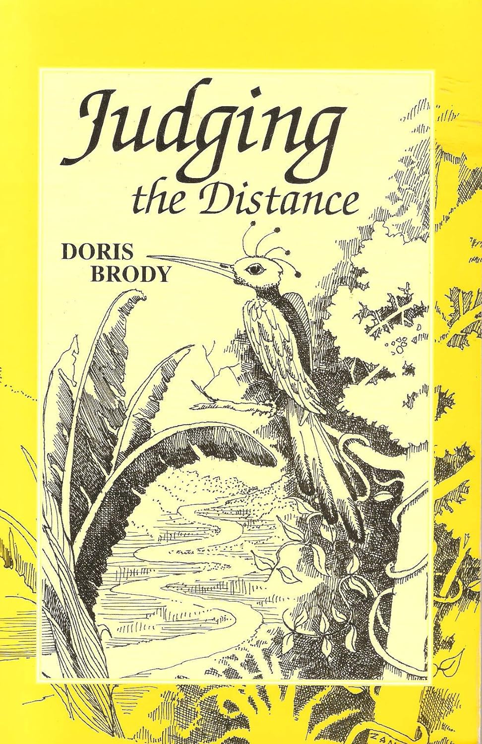 Judging the Distance book cover